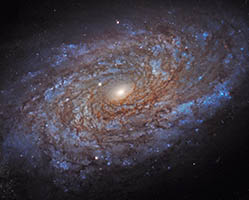 Milky Way Spirals